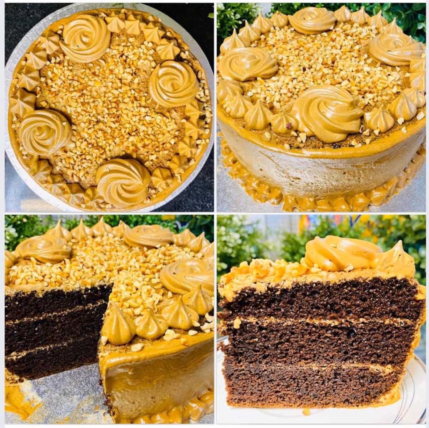 Rice Cooker Dalgona Coffee Cake (No-Oven Coffee Cake with Whipped Coffee Cream)